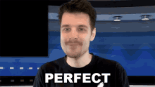 Perfect Benedict Townsend GIF - Perfect Benedict Townsend Youtuber News GIFs