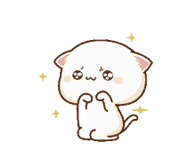 peach cat