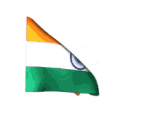 India Flag GIF - India Flag Happy Independence Day GIFs