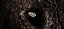 Cave Hidden GIF - Cave Hidden Cute GIFs