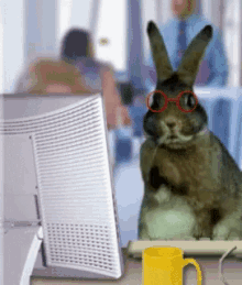 Funny Animals Hard Worker GIF - Funny Animals Hard Worker Worker Bunny GIFs