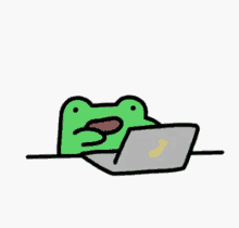 tiny green frog teeny tiny green frog frog typing angry frog