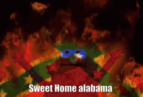 Sweet Home Alabama GIF - Sweet Home Alabama Memes GIFs