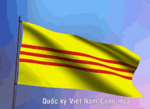 co vnch flag