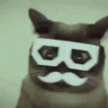 Cat Waving Cat GIF - Cat Waving Cat Winkende Katze GIFs