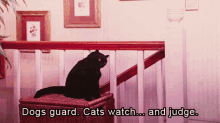 Tv Shows Quotes GIF - Tv Shows Quotes Dogs Guard GIFs