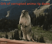 Damn Orb Of Corrupted Animal GIF - Damn Orb Of Corrupted Animal Rip Damn GIFs
