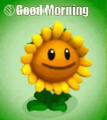 शुभप्रभात सुप्रभात GIF - शुभप्रभात सुप्रभात सूरजमुखी GIFs
