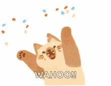 celebration confetti happy success cat