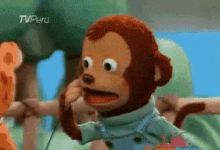 Curious Monkey GIF - Curious Monkey Confused GIFs