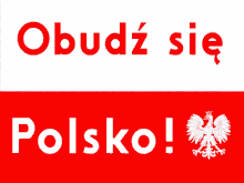 obudz up
