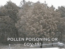 Allergies Sneeze GIF - Allergies Sneeze Pollen Poisoning Or Cov19 GIFs