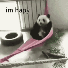 Panda Happy GIF - Panda Happy Hapy GIFs