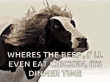 Cow Beef GIF - Cow Beef Chicken GIFs