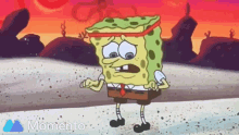 Sore Spongebob GIF - Sore Spongebob Hibernation GIFs