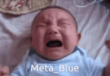 Meta_blue Meta_blue Baby GIF - Meta_blue Meta_blue Baby Flairwars GIFs