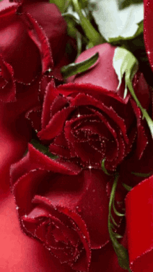 Red Roses GIF - Red Roses Shiny GIFs