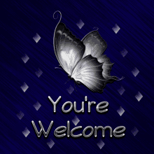 Youre Welcome Butterfly GIF - Youre Welcome Butterfly Blue GIFs