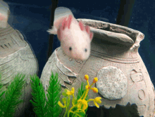 Axolotl Minecraft GIF - Axolotl Minecraft Zoomies GIFs