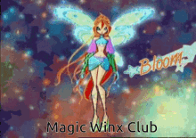 Winx Club Shiny GIF - Winx Club Shiny Fairy GIFs