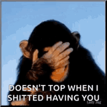 Laughing Monkey GIF - Laughing Monkey Doesnt Top GIFs