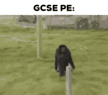 Gcse Pe GIF - Gcse Pe Gcsepe GIFs