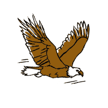 eagle flap