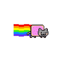 cat cat