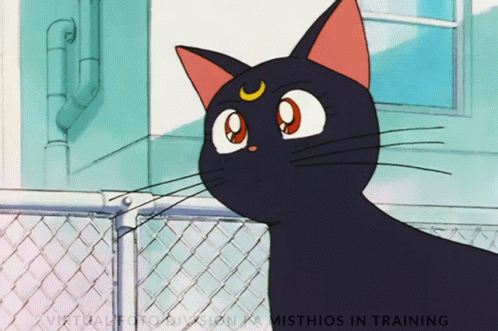 Sailor Moon Luna Gif Sailor Moon Luna Cat Discover Share Gifs