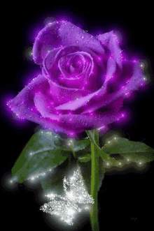 Purples Rose Glitter GIF - Purples Rose Glitter GIFs