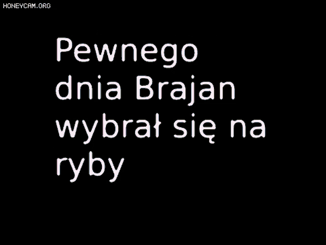 Janusz Honda Dowcip Złota Rybka Janusz Golden Fish Honda GIF - Janusz Honda Dowcip Złota Rybka Janusz Golden Fish Honda Polish Humor - Discover &amp; Share GIFs