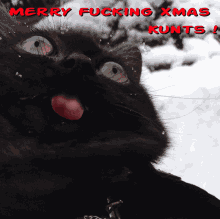 Kunt Merry Xmas Kunts GIF - Kunt Merry Xmas Kunts Silly GIFs