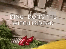 Ding Dong The Witch Is Dead Wizard Of Oz GIF - Ding Dong The Witch Is Dead Wizard Of Oz Disappear GIFs