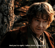 The Hobbit Bilbo Baggins GIF - The Hobbit Bilbo Baggins Youre Right GIFs