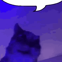 Speech Bubble Cat GIF - Speech Bubble Cat Talking GIFs