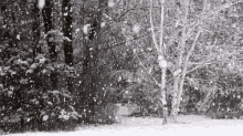 holidays happyholidays snow snowing firstsnow holidays happyholidays snow snowing firstsnow
