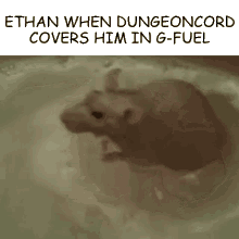 dungeoncord