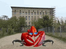 Lobster Llg GIF - Lobster Llg Lorb GIFs