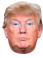 Trump Makeup Sticker - Trump Makeup Stickers