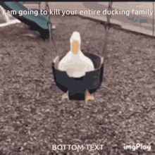Duck Family GIF - Duck Family Ducking GIFs