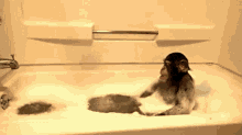 Monkey Taking A Bath GIF - Monkey Taking A Bath Bubbles GIFs