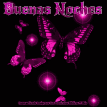 Buenas Noches Butterflies GIF - Buenas Noches Butterflies Good Night GIFs