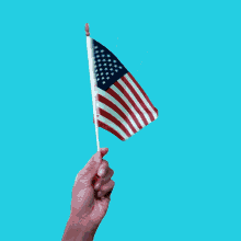 Halive2022 American Flag GIF - Halive2022 American Flag America GIFs