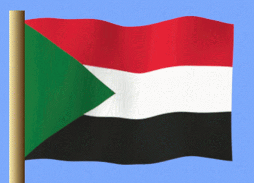 Sudan GIF - Sudan GIFs