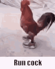 Run Cock Sound Of Poggers GIF - Run Cock Sound Of Poggers GIFs