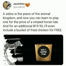 Zebra Piano GIF - Zebra Piano Absurd GIFs