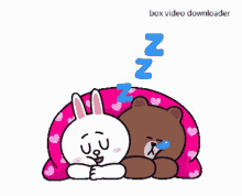 Cony And Brown Cute GIF - Cony And Brown Cute Sleeping GIFs