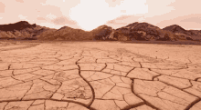 Death Valley Cracked Earth GIF - Death Valley Cracked Earth Dry GIFs