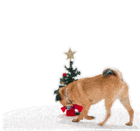 Dogs Christmas Sticker - Dogs Christmas Petsure Stickers