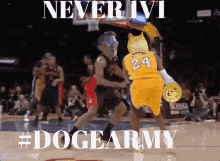 doge doge